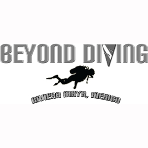 Beyond Diving Logo