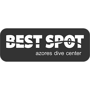 BEST SPOT AZORES DIVE CENTER Logo