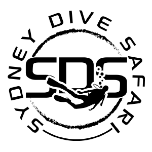 Sydney Dive Safari Logo